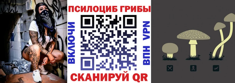 наркотики  Горняк  Галлюциногенные грибы MAGIC MUSHROOMS 